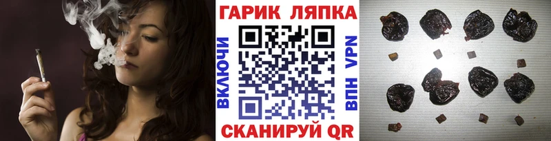 закладка  Мещовск  ГАШ индика сатива 