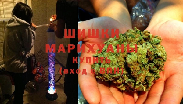 прущие крисы Арсеньев