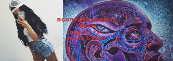 прущий лед Алексеевка