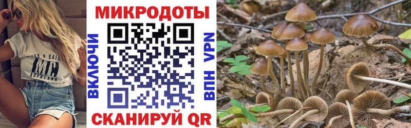 как найти KRAKEN как зайти Псилоцибиновые грибы MAGIC MUSHROOMS Мещовск
